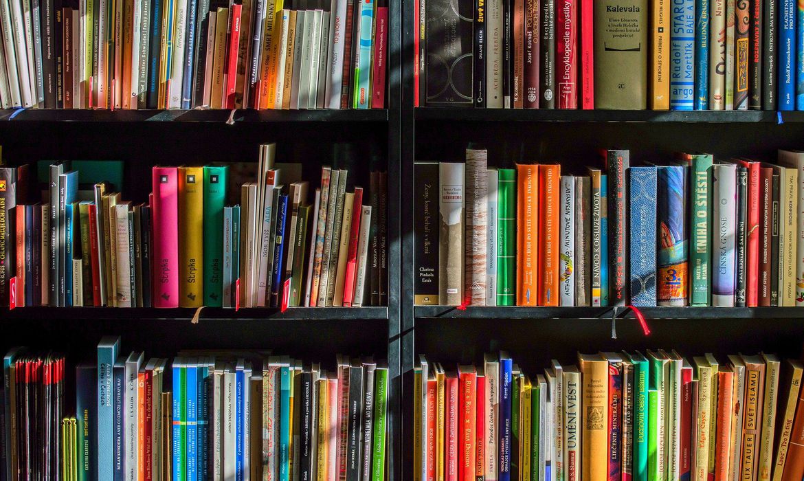 Imagem referente a Biblioteca de São Paulo e do Parque Villa-Lobos emprestam livros pela internet