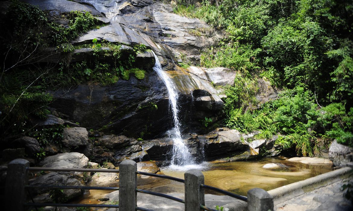 Imagem referente a Parque Nacional da Tijuca estabelece novas regras para visitação