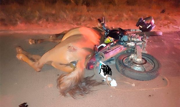 Imagem referente a Motociclista fica ferido após colidir contra cavalo na rodovia PR-464