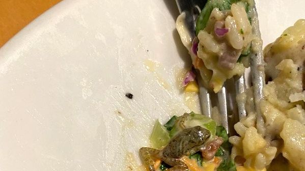 Imagem referente a Cliente encontra ‘perereca’ em salada de famosa rede de restaurantes