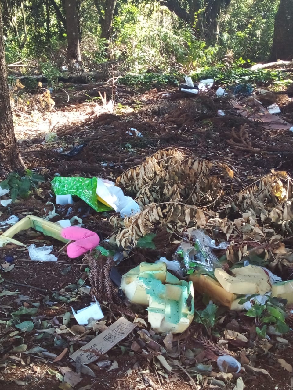 Imagem referente a Moradores do Bairro Floresta reclamam de descarte de lixo e animais mortos no Bairro Floresta