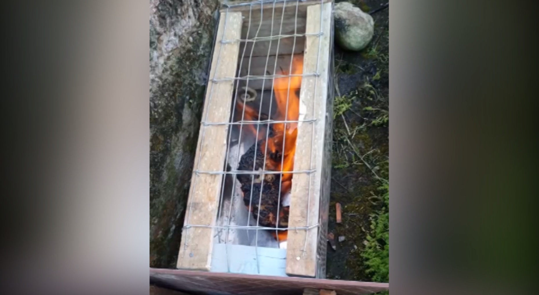 Imagem referente a Homem que capturou e ‘meteu fogo’ em animal vivo é identificado e autuado pela Polícia Civil