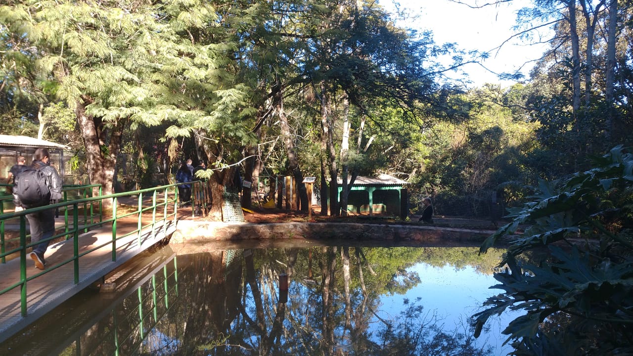 Zoológico é reaberto em Cascavel; Por enquanto, local não estará aberto ao público nos finais de semana