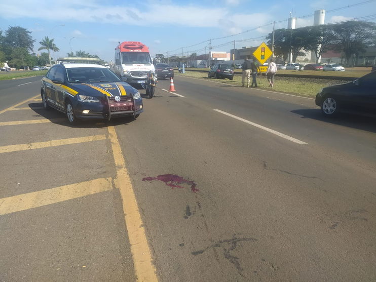 Imagem referente a Motorista sem CNH provoca grave acidente em Arapongas