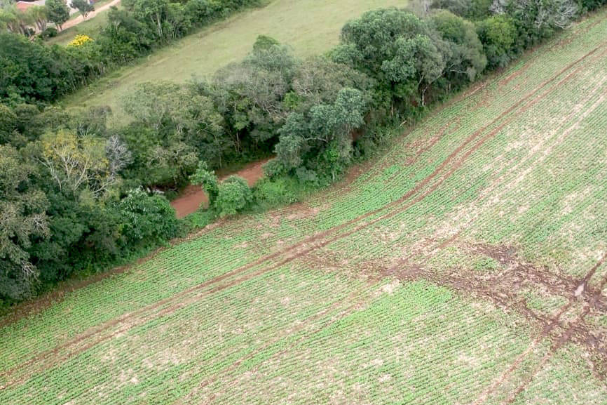 Imagem referente a IAT identifica atividade irregular em área de preservação permanente em Ponta Grossa