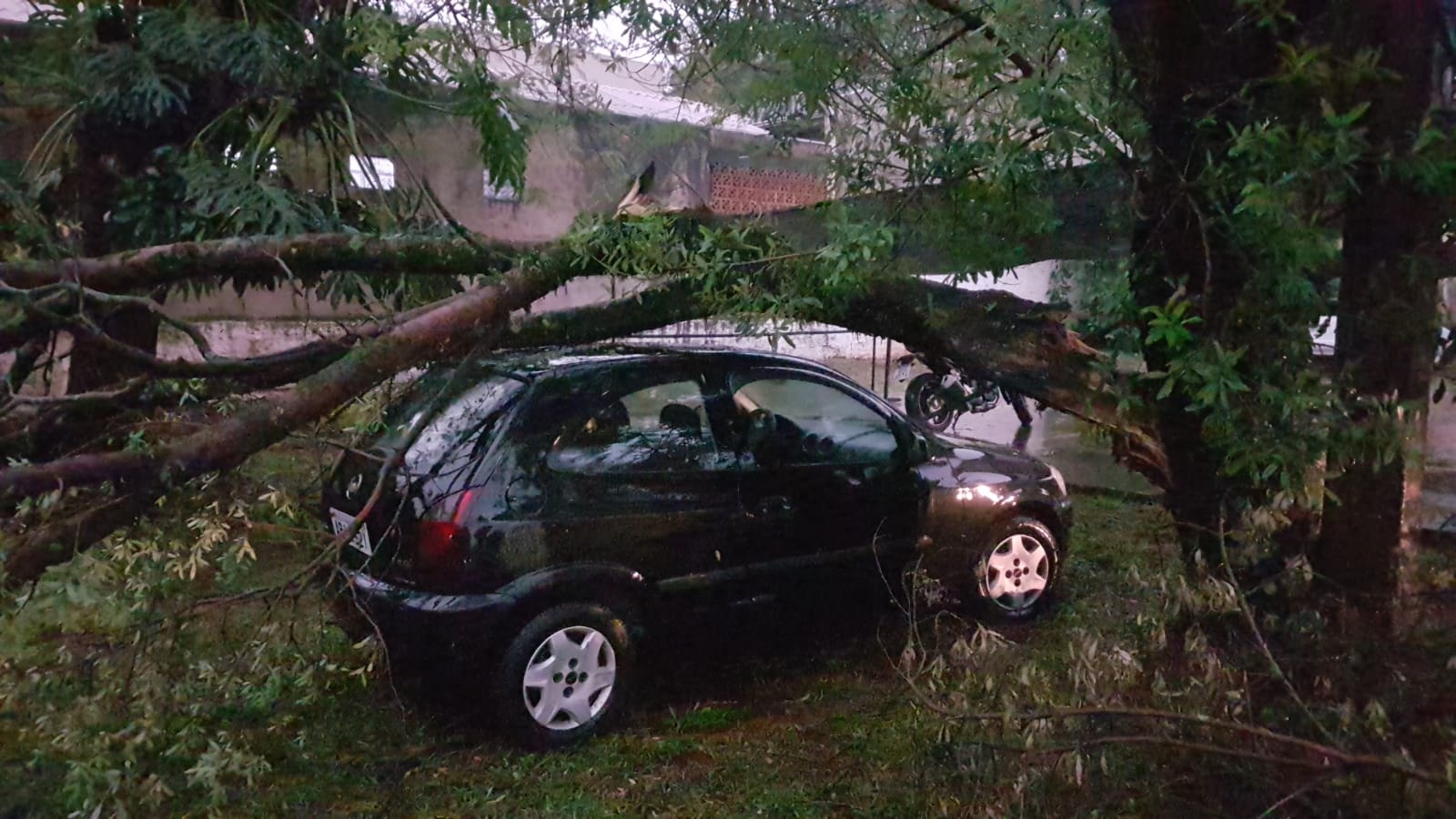 Árvore cai e atinge automóvel em estacionamento de empresa na Rua Machado de Assis