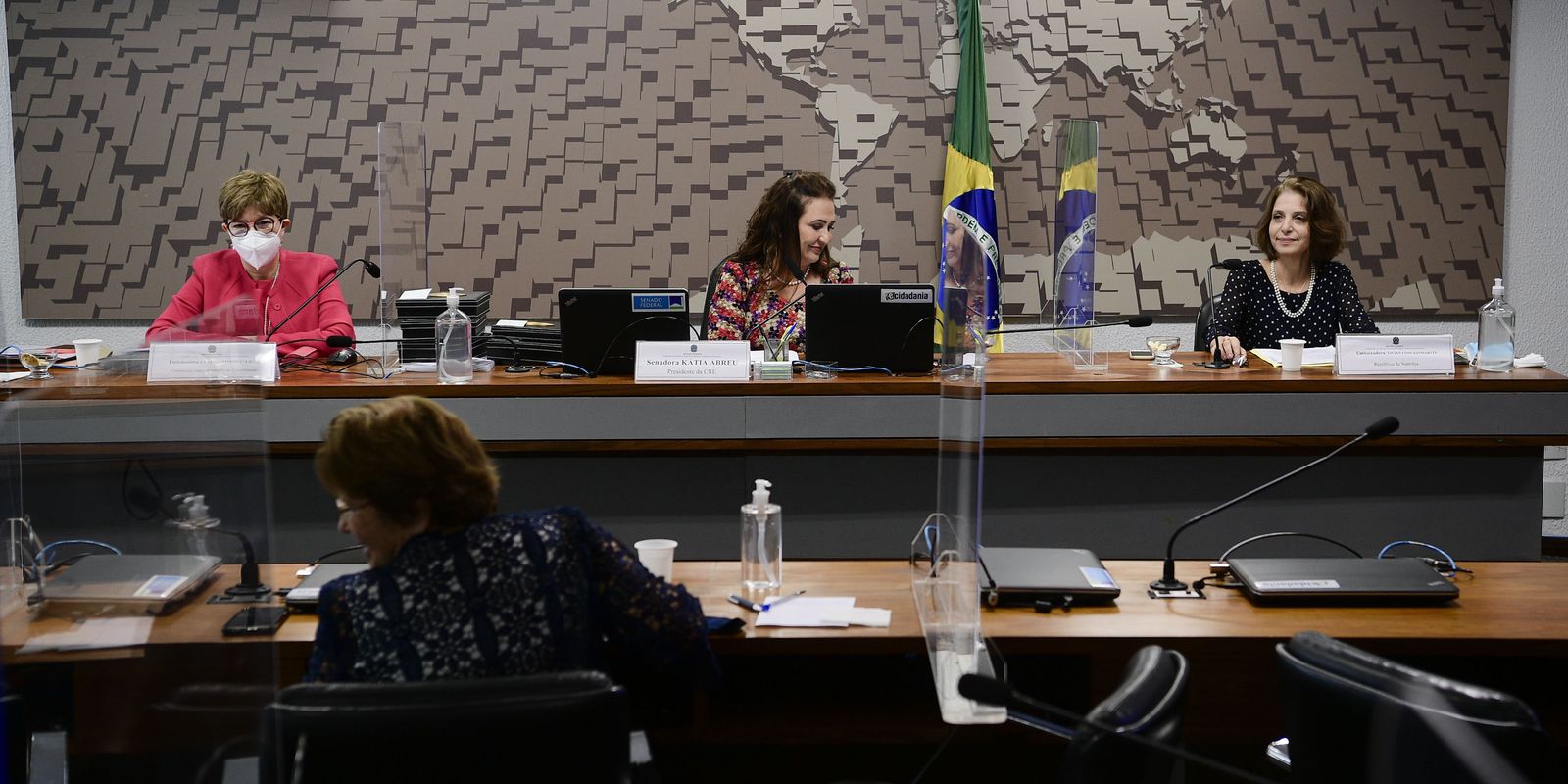 Imagem referente a Senado sabatina onze pessoas para chefiar embaixadas brasileiras