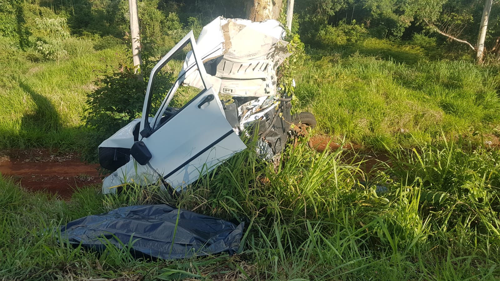 Condutor de carro morre em violenta colisão contra árvore às margens da BR-369, em Cascavel