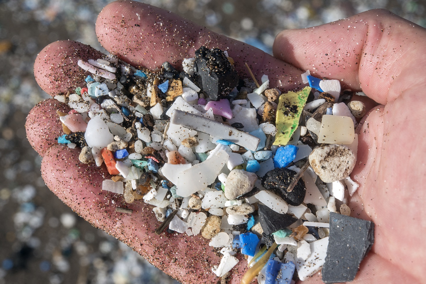 Imagem referente a Pesquisa revela que ingerimos cerca de 40 mil pedaços de microplásticos por ano