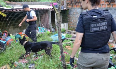 Ações com cães da Polícia Civil apreendem 7,8 toneladas de drogas em 2021