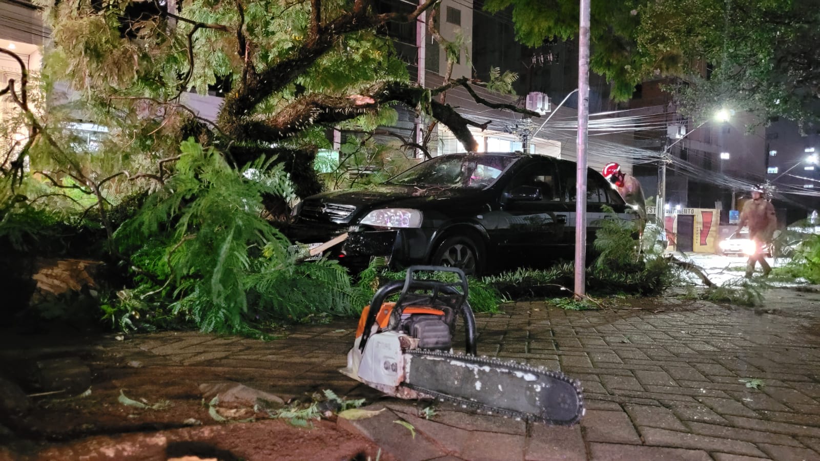 Imagem referente a Durante temporal árvore de grande porte cai sobre carro no Centro de Cascavel