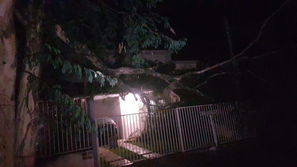 Tronco quebra e árvore cai em fiação da rede elétrica e também sobre residência no Bairro Neva