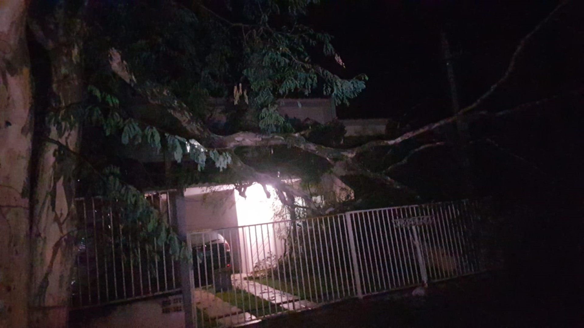 Imagem referente a Tronco quebra e árvore cai em fiação da rede elétrica e também sobre residência no Bairro Neva