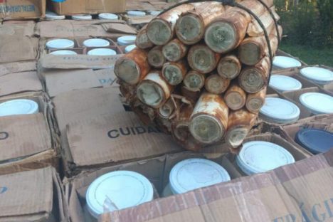 Batalhão Ambiental apreende três toneladas de palmito em fábrica clandestina em Guaraqueçaba
