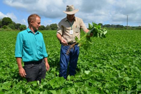 Extensão rural comemora 66 anos ajudando a transformar a agropecuária no Paraná