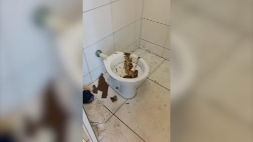 Imagem referente a Muita sujeira: vídeo mostra falta de cuidado e educação em banheiro do Terminal Oeste