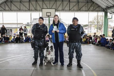 Imagem referente a Curitiba – Cão Amigo leva a 14 mil crianças lições de cidadania e respeito aos animais