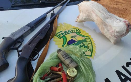 Polícia Ambiental apreende armas, aves nativas e encontra paca congelada em Iporã