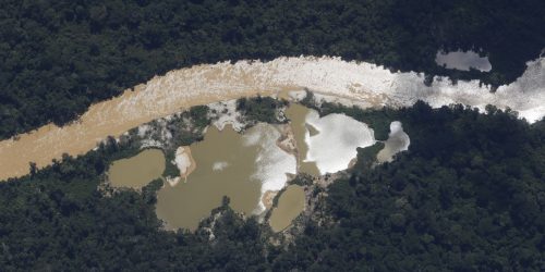 PF investiga morte de três yanomami por garimpeiros em Roraima