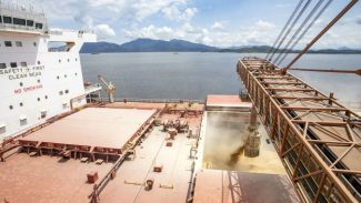 Navio carrega 107 mil toneladas de farelo de soja e quebra recorde no Porto de Paranaguá