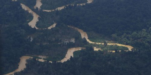 Imagem referente a Governo do Pará assina decreto para combater garimpo e desmatamento