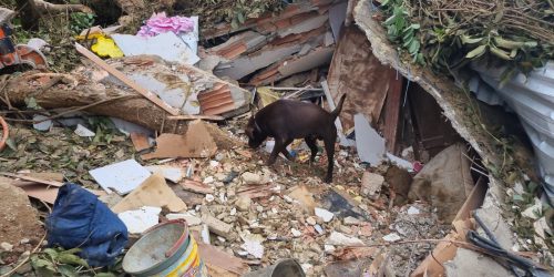 Chuva forte causa vítimas na região metropolitana do Rio