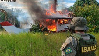 STF rejeita lei de Roraima que proíbe destruição de bens apreendidos