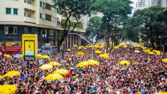 Carnaval segue no fim de semana em SP com blocos e desfile das campeãs