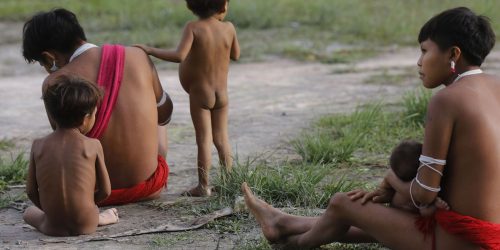 Imagem referente a IBGE inicia última etapa do Censo 2022 na Terra Indígena Yanomami