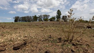 Com seca, 12 cidades gaúchas vão receber socorro de R$ 2,2 milhões