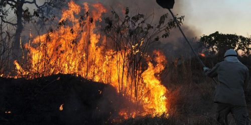 Imagem referente a Amazônia concentra 90% da área com focos de incêndio no 1º bimestre