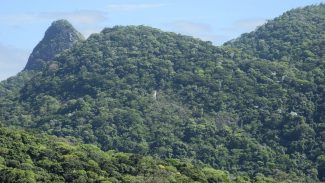 Projeto da Fiocruz vai restaurar, no Rio, área da Mata Atlântica