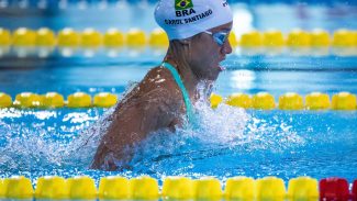 Natação paralímpica: Brasil encerra World Series com 19 medalhas