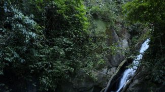 Mata Atlântica tem água de boa qualidade em 6,9% dos rios