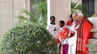 Papa celebra missa do Domingo de Ramos