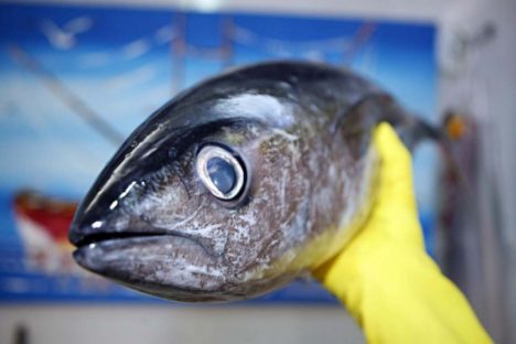 Saúde orienta sobre cuidado ao escolher o pescado neste período de muito consumo