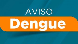 Novo boletim confirma mais 2,9 mil casos e um óbito por dengue