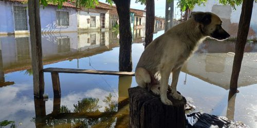 Imagem referente a Rompimento de barragem alaga 23 casas e deixa 32 desalojados no Ceará