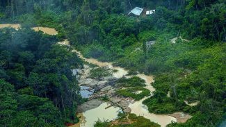 Greenpeace Brasil encontra 176 escavadeiras em terras Yanomami