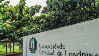 Projeto da UEL recruta gêmeos e familiares para atendimento psicológico gratuito