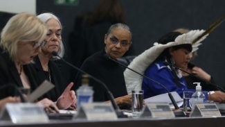 Marina Silva denuncia desmonte na fiscalização ambiental