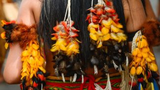 Brasil deve ter orgulho de seus povos indígenas, diz secretária