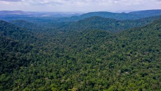 EUA anunciam US$ 500 milhões para Fundo Amazônia em cinco anos