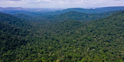 Imagem referente a EUA anunciam US$ 500 milhões para Fundo Amazônia em cinco anos