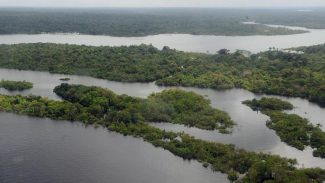 Brasileiro tem sentimento de vulnerabilidade ecológica e climática