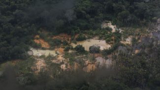 PF combate comércio de ouro extraído ilegalmente de TI Yanomami