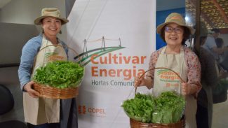Com apoio da Copel, dez famílias cultivarão horta comunitária sob linha de energia em Londrina