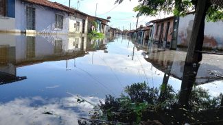 Maranhão tem 76 cidades em situação de emergência por causa da chuva