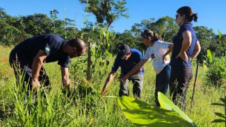 Portos do Paraná inicia plantio de mudas de árvores em áreas de preservação degradadas