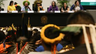 Líderes indígenas se unem contra projetos no Congresso